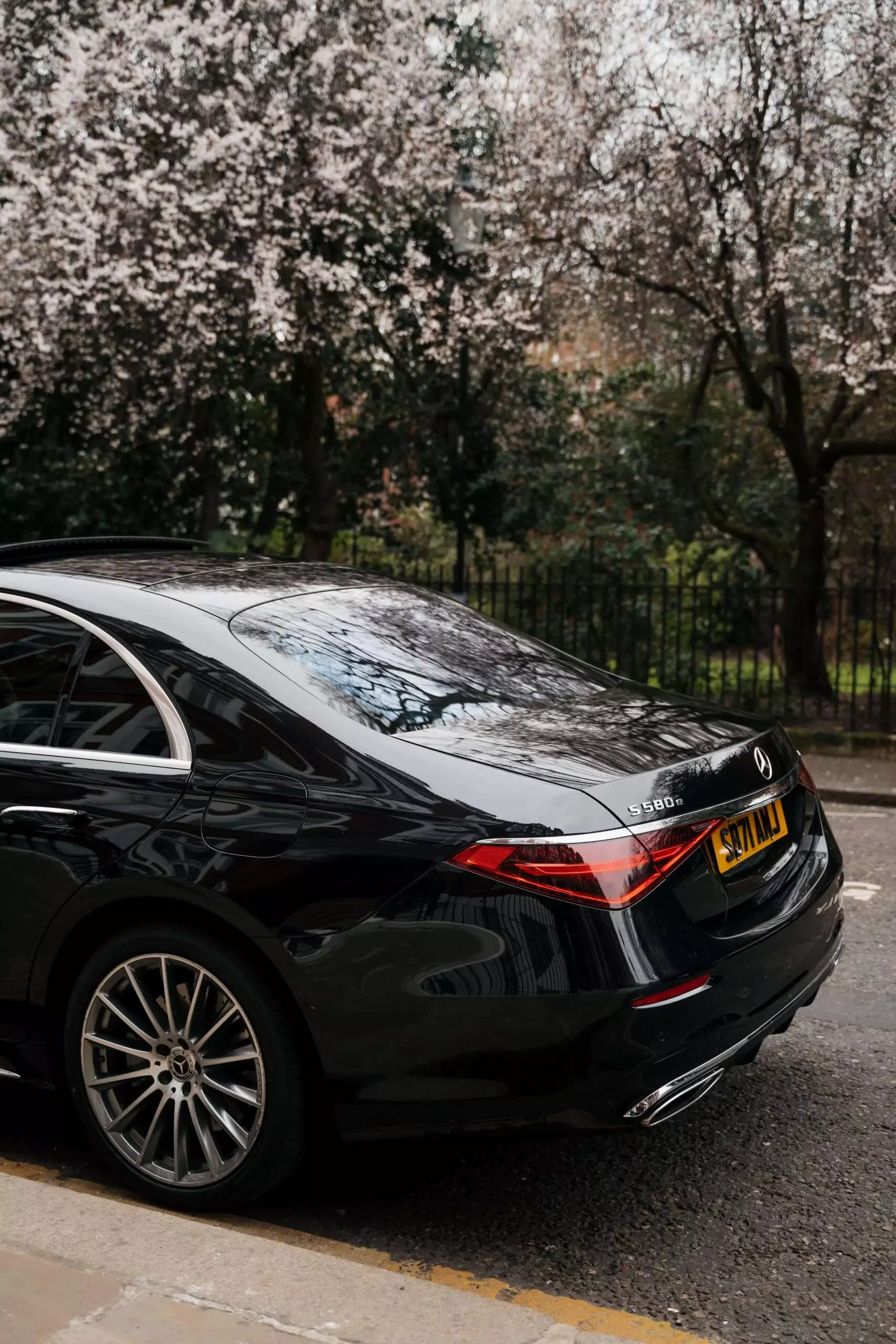 VIP Transfer